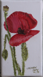 coquelicot